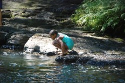 Camper investigates the swimming hole