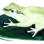 FrogSong-Logo