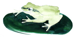 FrogSong-Logo