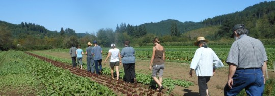 Cultivating the Way @ Farm Retreat | Blachly | Oregon | United States