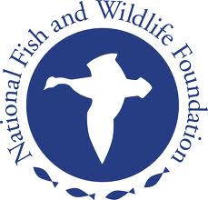 Fish & Wildlife Foundation