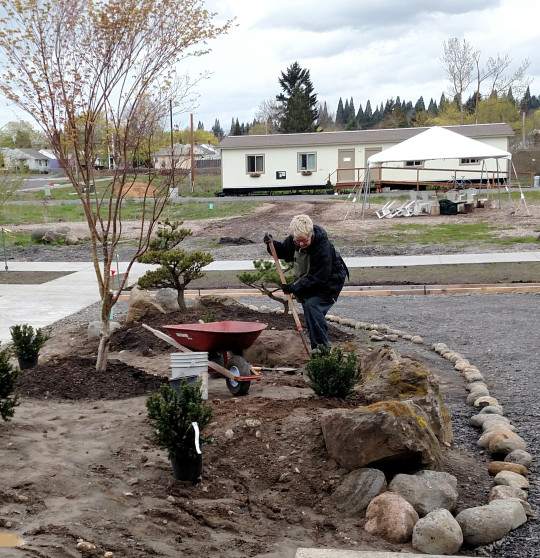 Gemmon has put many hours and much creativity into the gradual emergence of our Japanese-style garden area.