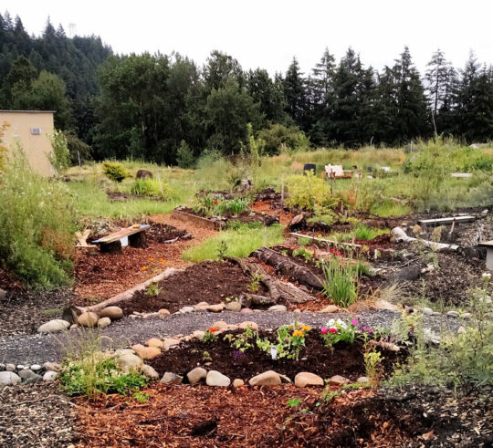 P0602-permaculture-900